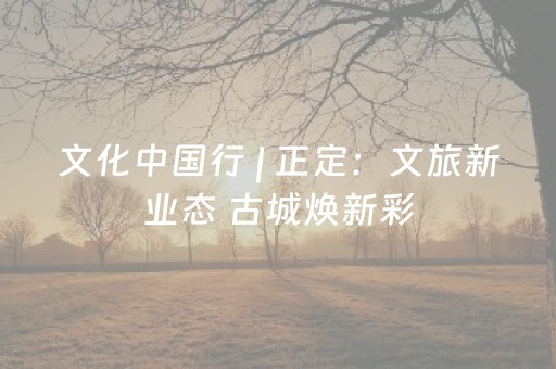 文化中国行 | 正定：文旅新业态 古城焕新彩