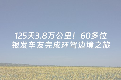 玩家必备“手机跑得快怎么让系统给你发好牌”（助赢神器购买)