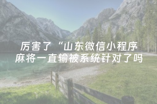 厉害了“山东微信小程序麻将一直输被系统针对了吗”（怎么增加胜率)