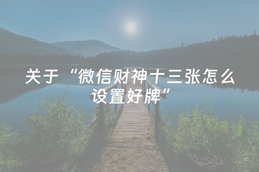 重大通报“财神十三张辅助器”（是否能开挂)