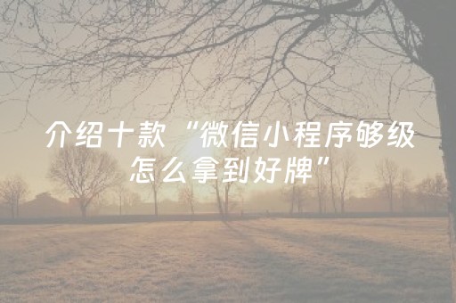 介绍十款“微信小程序够级怎么拿到好牌”（开挂辅助器插件)