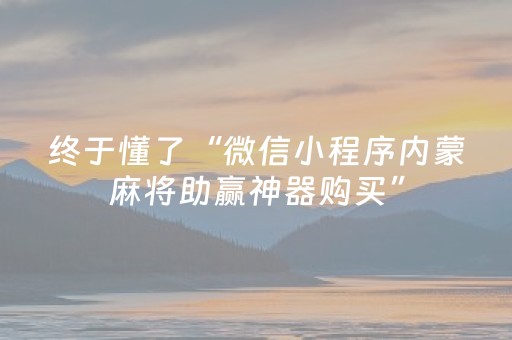 终于懂了“微小程序保皇助赢神器”（AI辅助胡牌规则)