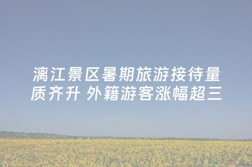 漓江景区暑期旅游接待量质齐升 外籍游客涨幅超三倍
