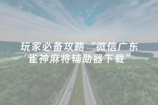玩家必备攻略“微信广东雀神麻将辅助器下载”（插件开挂免费AI)