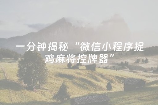 一分钟揭秘“微信小程序捉鸡麻将控牌器”（外辅工具)