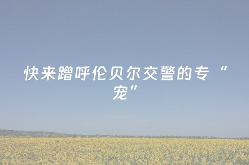 玩家必备教程“微信小程序云南麻将助赢神器购买”（外辅工具)