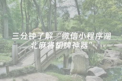 三分钟了解“微信小程序湖北麻将胡牌神器”（免费辅助)