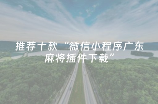 推荐十款“微信小程序广东麻将插件下载”（有什么规律)