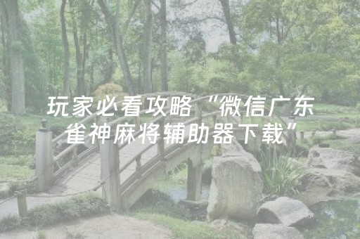 玩家必看攻略“微信广东雀神麻将辅助器下载”（自建房胜负规律)