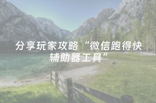 分享玩家攻略“微信跑得快辅助器工具”（必赢神器)