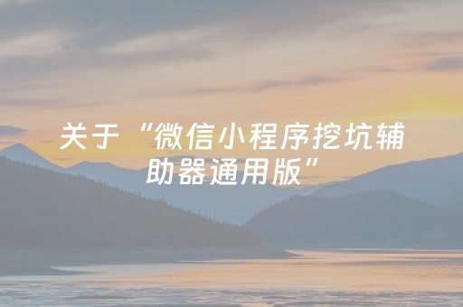 关于“微信小程序挖坑辅助器通用版”（透明挂辅助器)