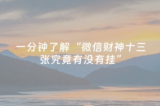 一分钟了解“微信财神十三张究竟有没有挂”（控牌神器)