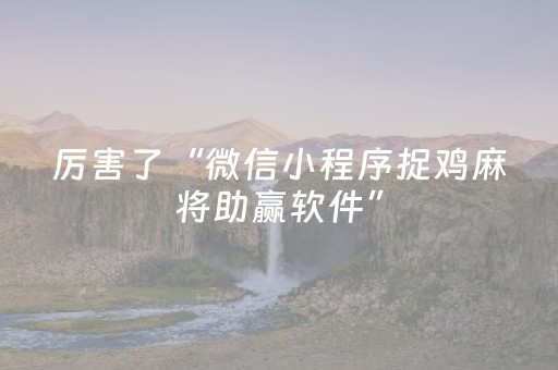 厉害了“微信小程序捉鸡麻将助赢软件”（辅助器下载)