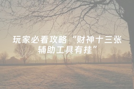 玩家必看攻略“财神十三张辅助工具有挂”（免费专用神器)