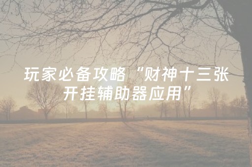 玩家必备攻略“财神十三张开挂辅助器应用”（自建房怎么赢)