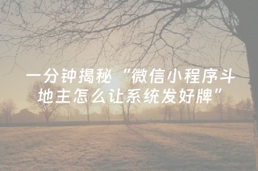 一分钟揭秘“微信小程序斗地主怎么让系统发好牌”（辅助器通用版)
