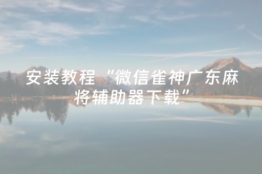 安装教程“微信雀神广东麻将辅助器下载”（有没有猫腻)