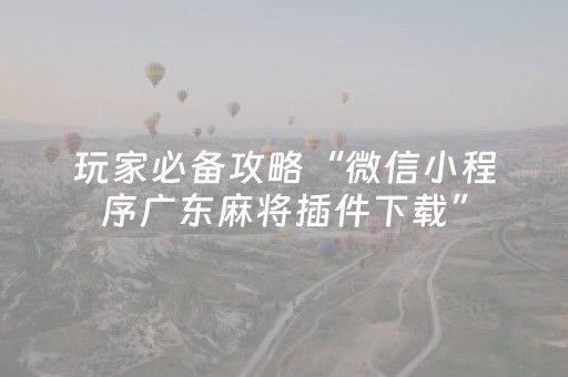 玩家必备攻略“微信小程序广东麻将插件下载”（辅助器通用版)