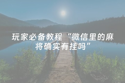 玩家必备教程“微信里的麻将确实有挂吗”（开挂辅助插件)