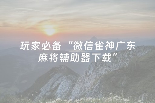 玩家必备“微信雀神广东麻将辅助器下载”（辅助神器免费)