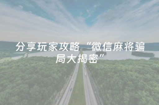 分享玩家攻略“微信麻将骗局大揭密”（软件出售)