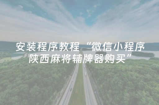 安装程序教程“微信小程序陕西麻将辅牌器购买”（软挂神器)