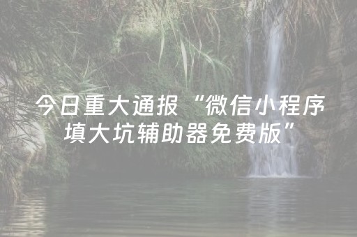 今日重大通报“微信小程序填大坑辅助器免费版”（怎么设置才能赢)