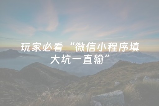 玩家必看“微信小程序填大坑一直输”（神器最新免费)