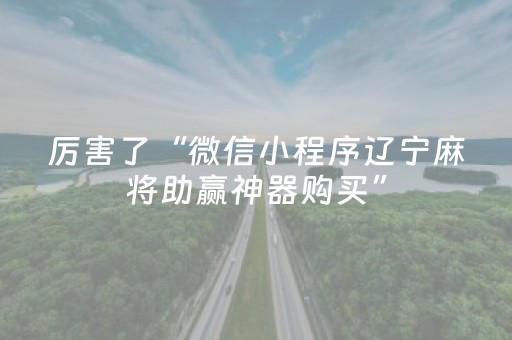 厉害了“微信小程序辽宁麻将助赢神器购买”（必赢神器辅助器)
