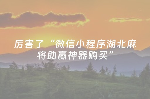厉害了“微信小程序湖北麻将助赢神器购买”（插件可信吗)