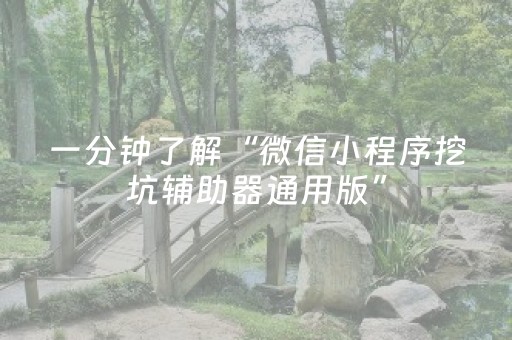 一分钟了解“微信小程序挖坑辅助器通用版”（开挂辅助插件)