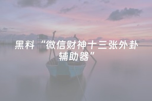 黑料“微信财神十三张外卦辅助器”（开挂辅助插件)