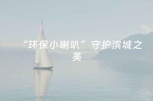 “环保小喇叭”守护滨城之美