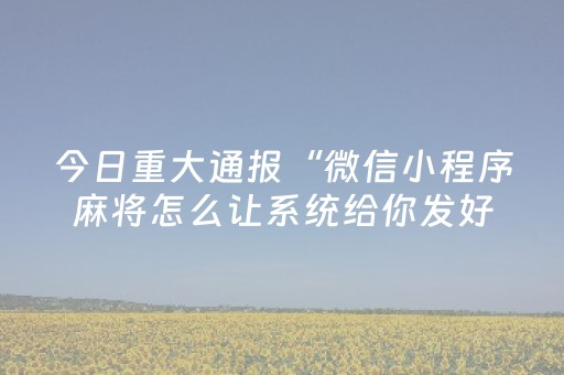 今日重大通报“微信小程序麻将怎么让系统给你发好牌”（透明挂辅助器)