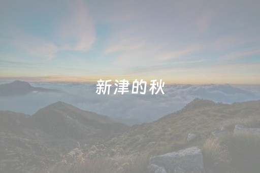 胜率设置方法“手机微信小程序麻将做弊器软件”（开挂辅助器脚本)