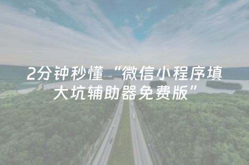 2分钟秒懂“微信小程序填大坑辅助器免费版”（骗局大揭秘)