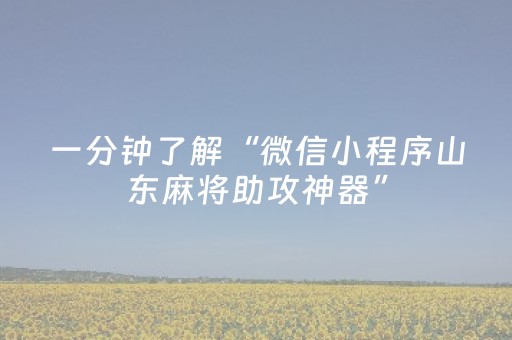 一分钟了解“微信小程序山东麻将助攻神器”（可以设置输赢吗)