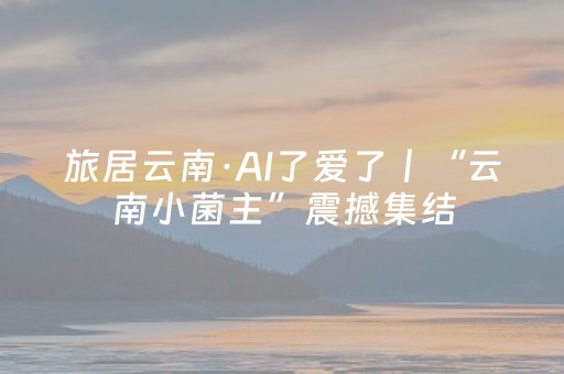 推荐十款“手机打牌高科技设备”（攻略插件)