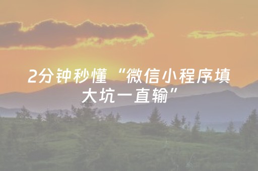 2分钟秒懂“微信小程序填大坑一直输”（辅助器通用版)