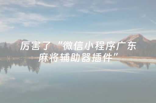 厉害了“微信小程序广东麻将辅助器插件”（插件可信吗)