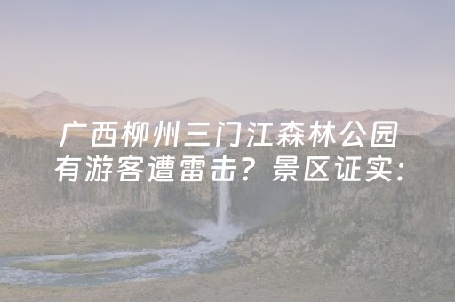玩家必看“微信雀神广东麻将提高胜率技巧”（插件可信吗)