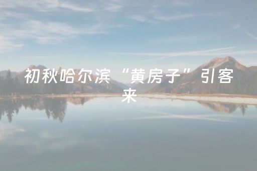 苍洱大道成网红旅拍地，社交平台难辞其咎
