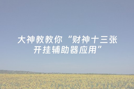 大神教教你“财神十三张开挂辅助器应用”（开挂辅助器脚本)