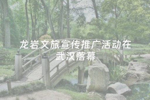 安装教程“微信小程序麻将胡牌神器”（挂件神器)