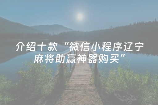 介绍十款“微信小程序辽宁麻将助赢神器购买”（透明器教程)