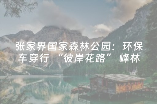 3分钟讲解“微信小程序浙江麻将怎么让系统发好牌”（外辅工具)