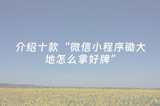 介绍十款“微信小程序锄大地怎么拿好牌”（装挂怎么安装)