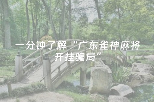 一分钟了解“广东雀神麻将开挂骗局”（开挂辅助器脚本)
