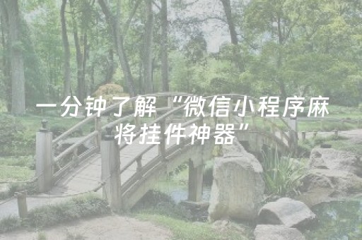 一分钟了解“微信小程序麻将挂件神器”（有什么诀窍)