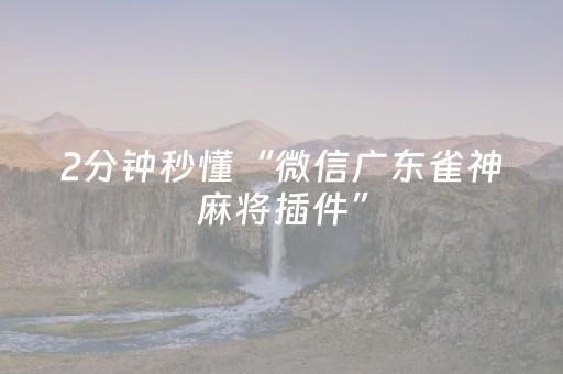 2分钟秒懂“微信广东雀神麻将插件”（充会员胜率高)